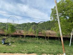 -铜川市金锁关石林