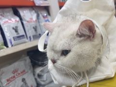 -瑞鹏宠物医院·微创内窥镜·骨外科·牙科(翠竹分院)