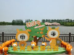 -上海长兴岛郊野公园