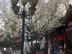 -汤峪温泉碧水湾