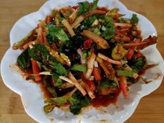 凉拌黄瓜折耳根-巍山𤆵肉饵丝