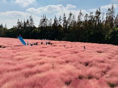 -嘉北郊野公园