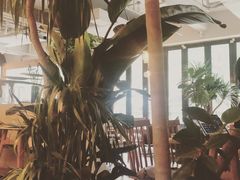 -the rug 飞毯 (朝阳公园店)