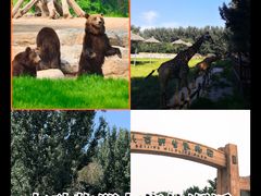 -石家庄市动物园