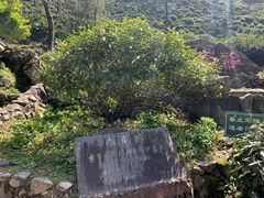 -长谷洞天
