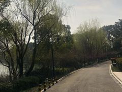 -金鸡湖桃花岛