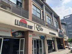 -车艺佳龙膜隐形车衣汽车贴膜(宝山丰宝店)