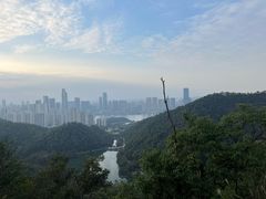 -桃花岭景区