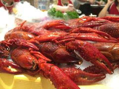 -新日月育才大酒店-中餐厅(环城北路店)