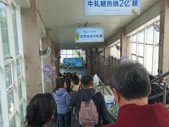 -厦门邮轮中心厦鼓码头(轮渡站)