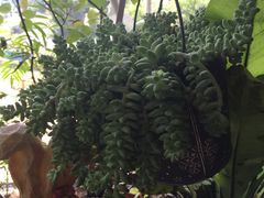 -懒鱼时光馆(沙坪坝店)