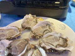 -千岛蚝高压锅生蚝·人参火锅(白云万达店)