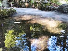-西岭雪山大飞水景区