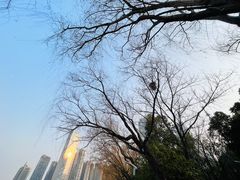 -天鹅湖体育公园