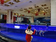 -鹏天阁酒楼·海鲜(红旗店)