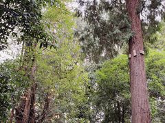 -成都杜甫草堂博物馆