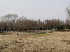 -苏州太湖湖滨国家湿地公园