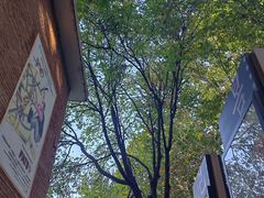 -西安电影制片厂