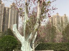 -燕郊植物园