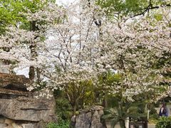 -南山植物园