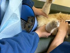 -爱派特动物医院·全科诊疗中心