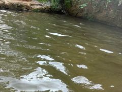 -五龙源极限漂流