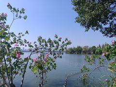 -艾溪湖湿地公园