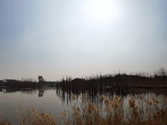 -白鹭湾湿地公园