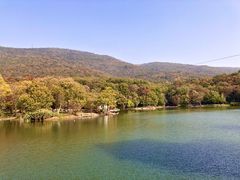 -紫霞湖公园