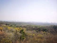 -南京老山国家森林公园