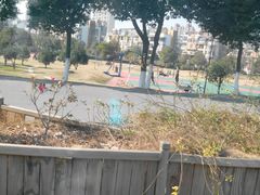 -艾溪湖湿地公园