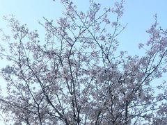 -杭州植物园