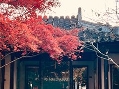 -常熟方塔园