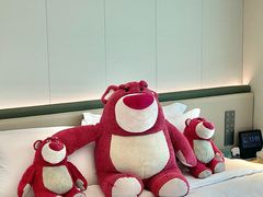 -南京THE TAI太和紫金大酒店