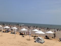 -日照海滨国家森林公园