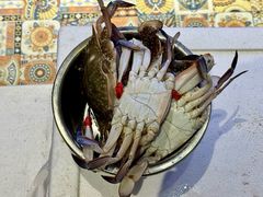 -77号渔船·蒸海鲜青岛菜(积米崖店)