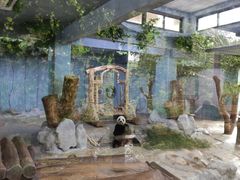 -海南热带野生动植物园