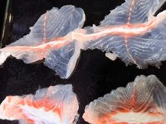 -京门活鱼馆·鱼火锅(百子湾（原红庙）店)