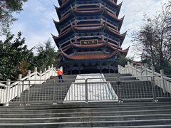 -铁山坪森林公园