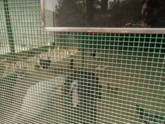 -瑞博尔花园酒店(太周创新产业园店)
