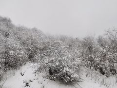 -太子岭滑雪场