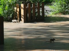 -黑龙江省森林植物园