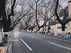 -颐和路民国时期公馆风貌区
