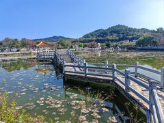 -红山村