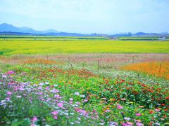 -光明小镇欢乐田园