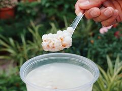 -潘玉麟糖粥