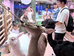 -正佳雨林生态植物园