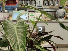 -茶芭蕾·新疆酸奶(美美1店)