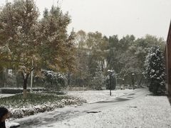 -北京市海淀外国语实验学校