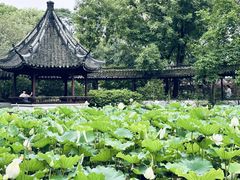 -上海醉白池公园